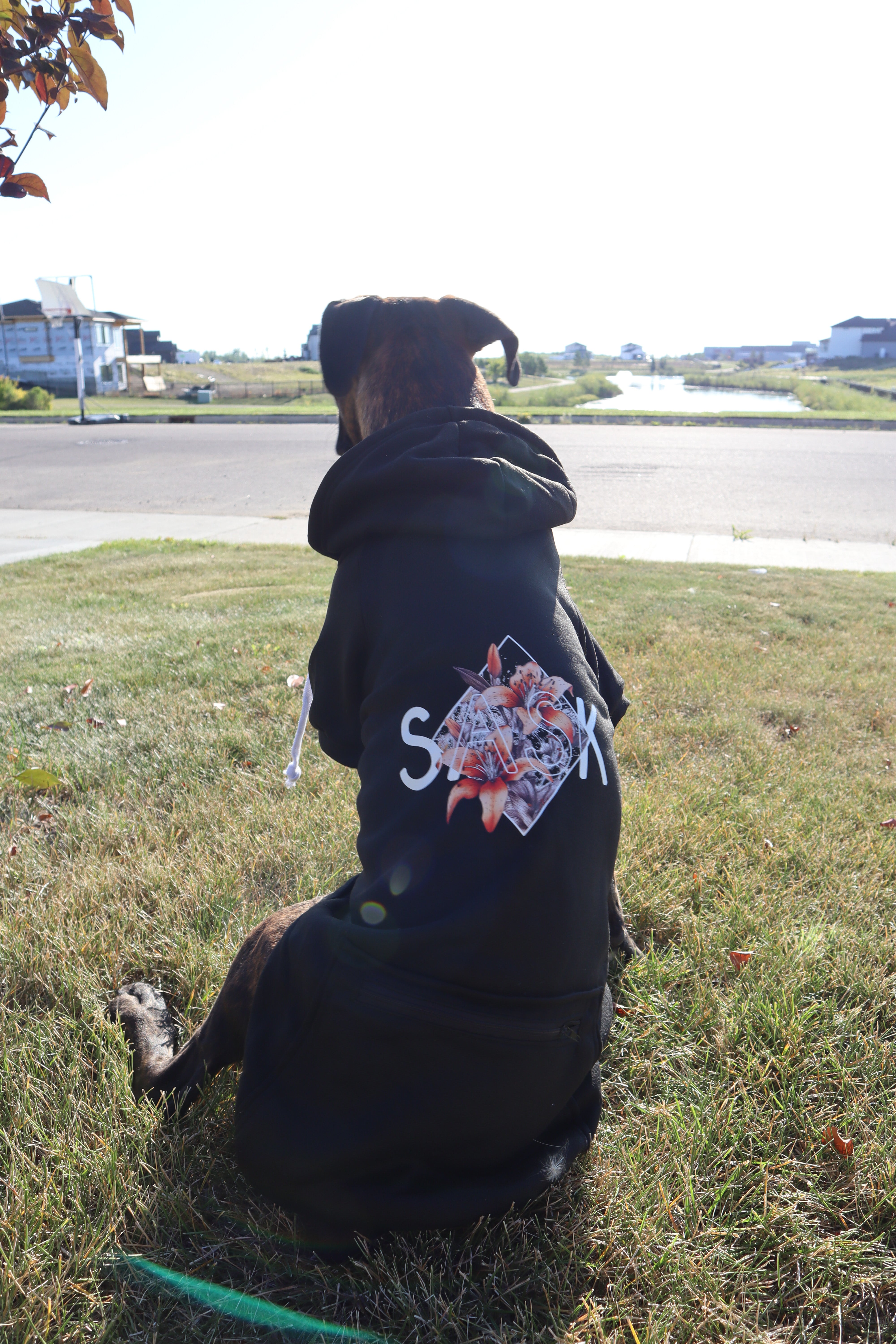 image for SASK Diamond Lily Dog Hoodie