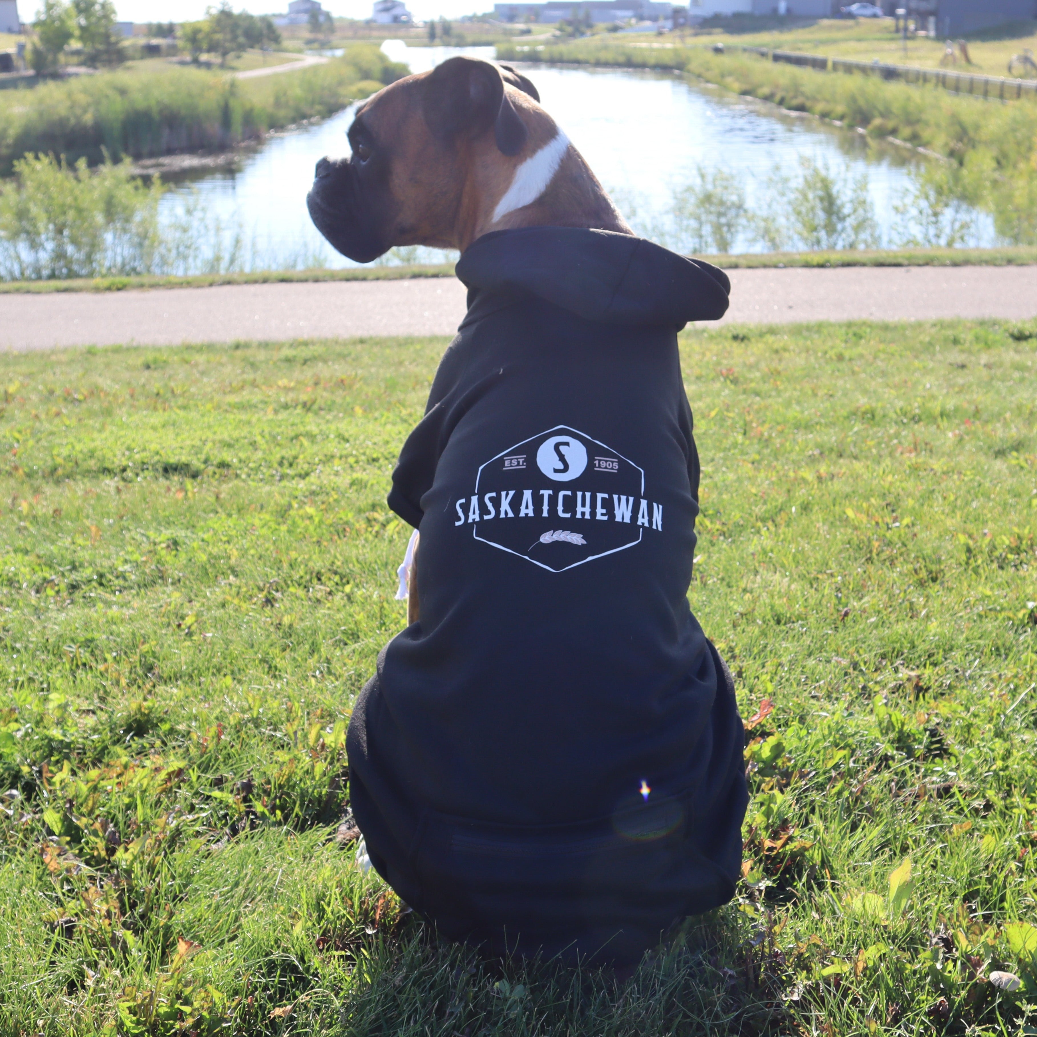 image for Saskatchewan Dog Hoodie