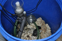 Curing Live Rock in a Tub