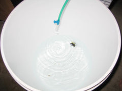 fish drip acclimation