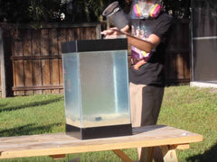 Backyard Scientist