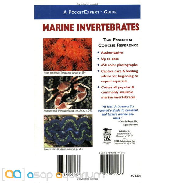 A Pocketexpert Guide Marine Invertebrates 500