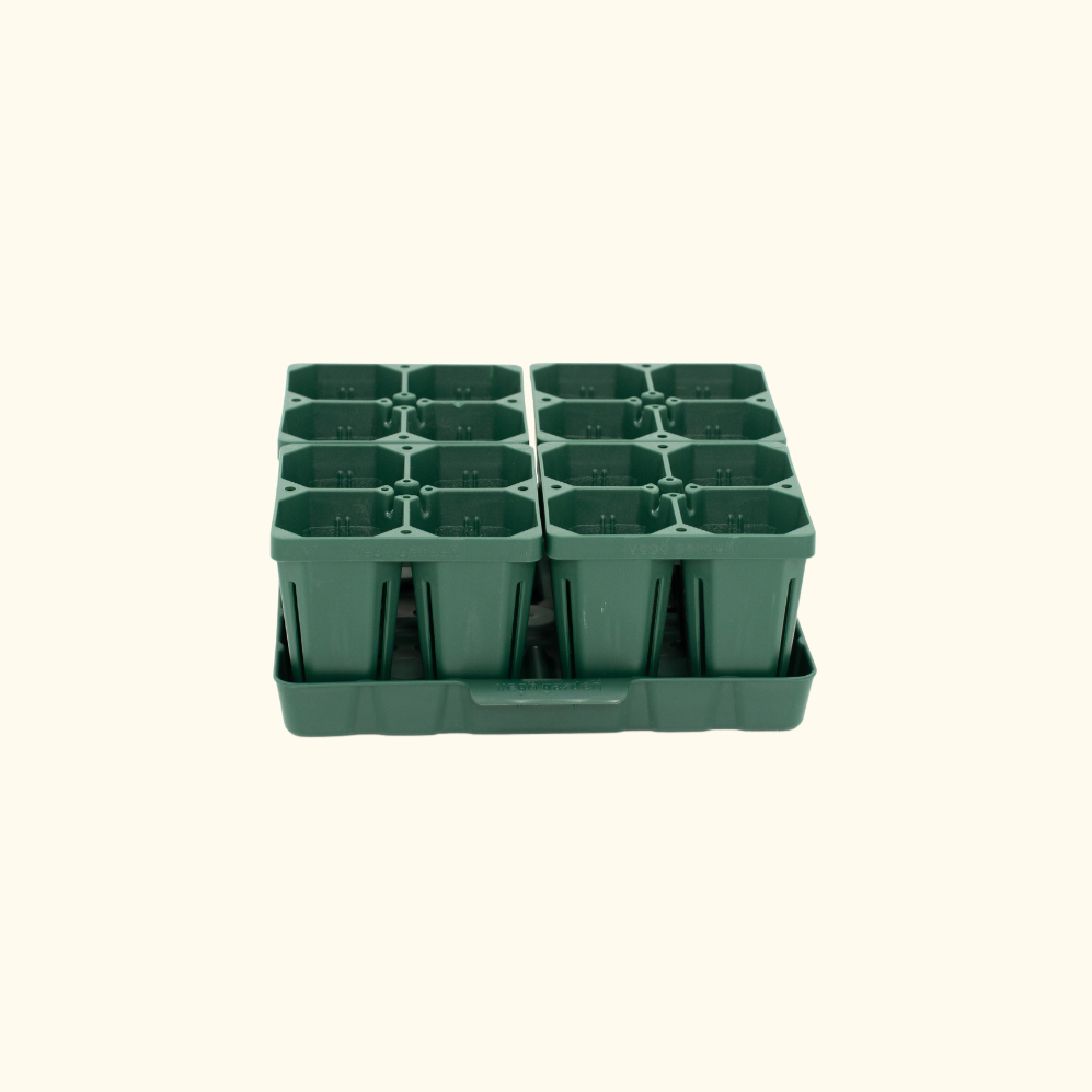 Seed Starting Bundle - 10 in. x 10 in.