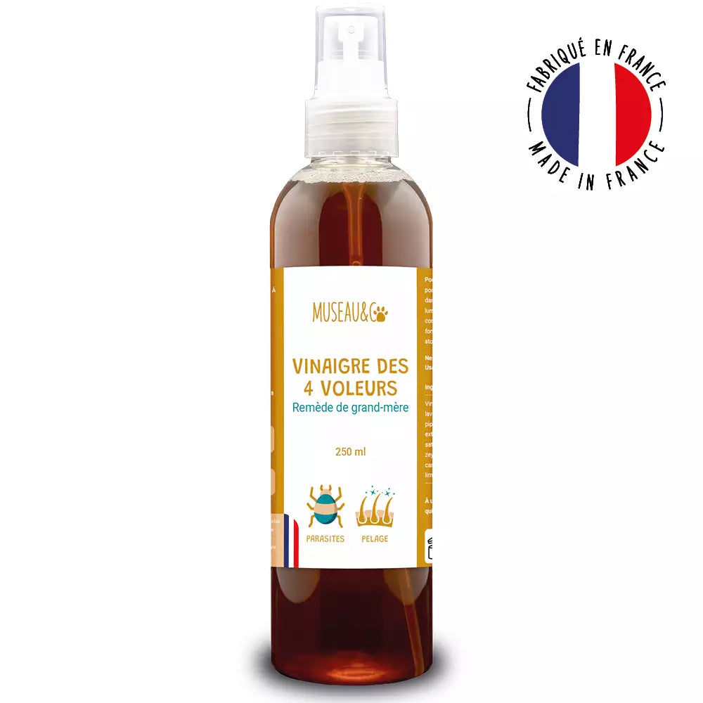 photo-produit-vinaigre-des-4-voleurs