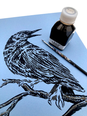 crow in black ink on blue matte