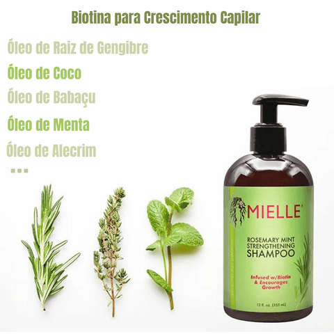 Shampoo Mielle Alecrim e Hortelã