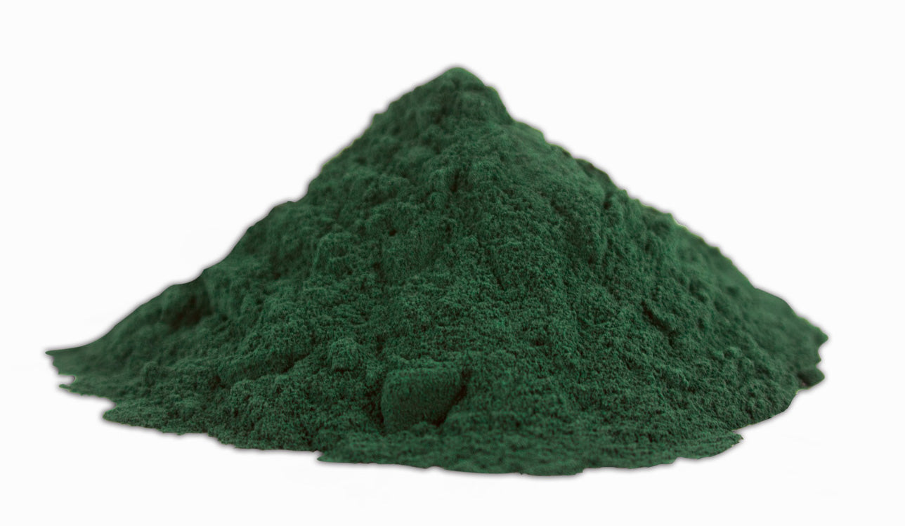 Spirulina_powdder_close.jpeg__PID:40ab3691-f97b-4460-b231-e2f7a5fb9f06