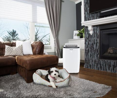 Honeywell portable air conditioner indoor