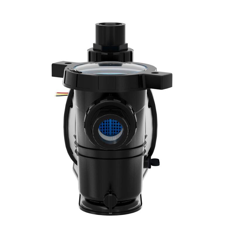 1 HP 2-Speed Pool Pump 230-Volt
