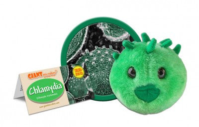Chlamydia - Mutter Museum Store - Chlamydia Test Kit