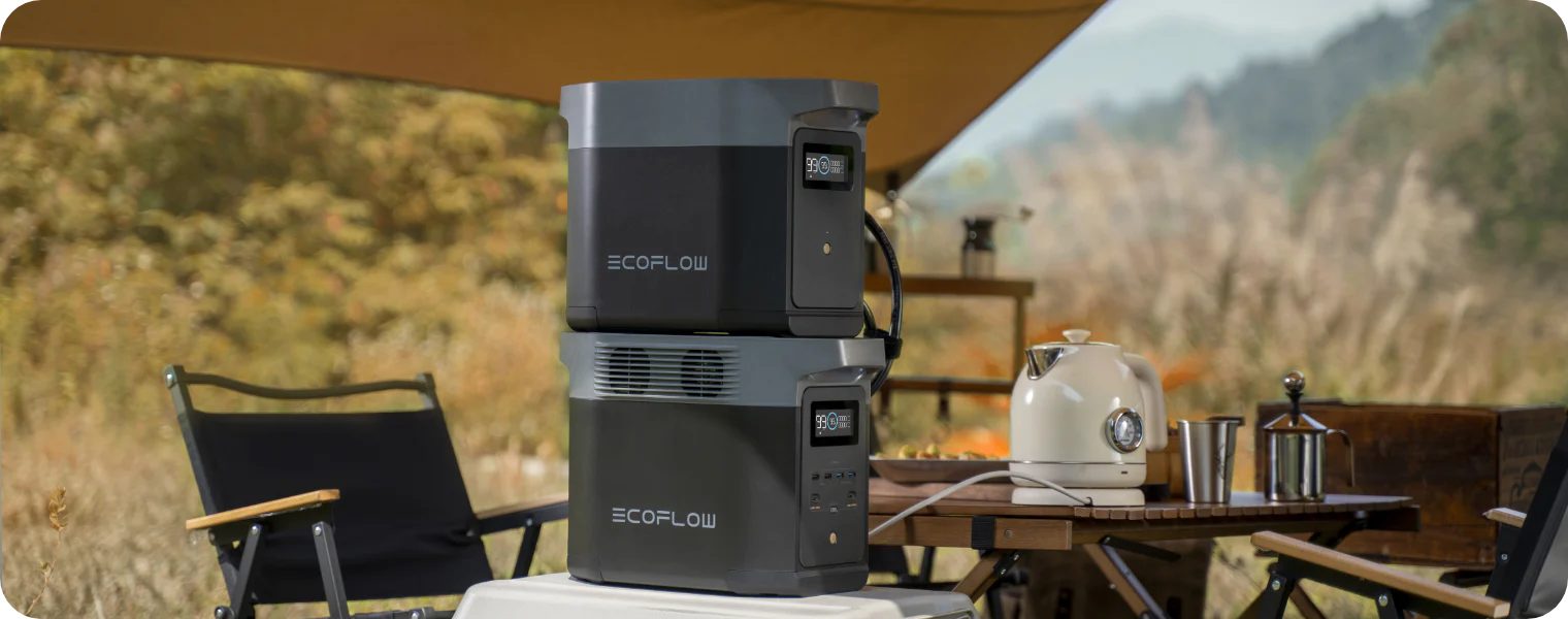 EcoFlow DELTA 2 Solar Generator (PV110W)