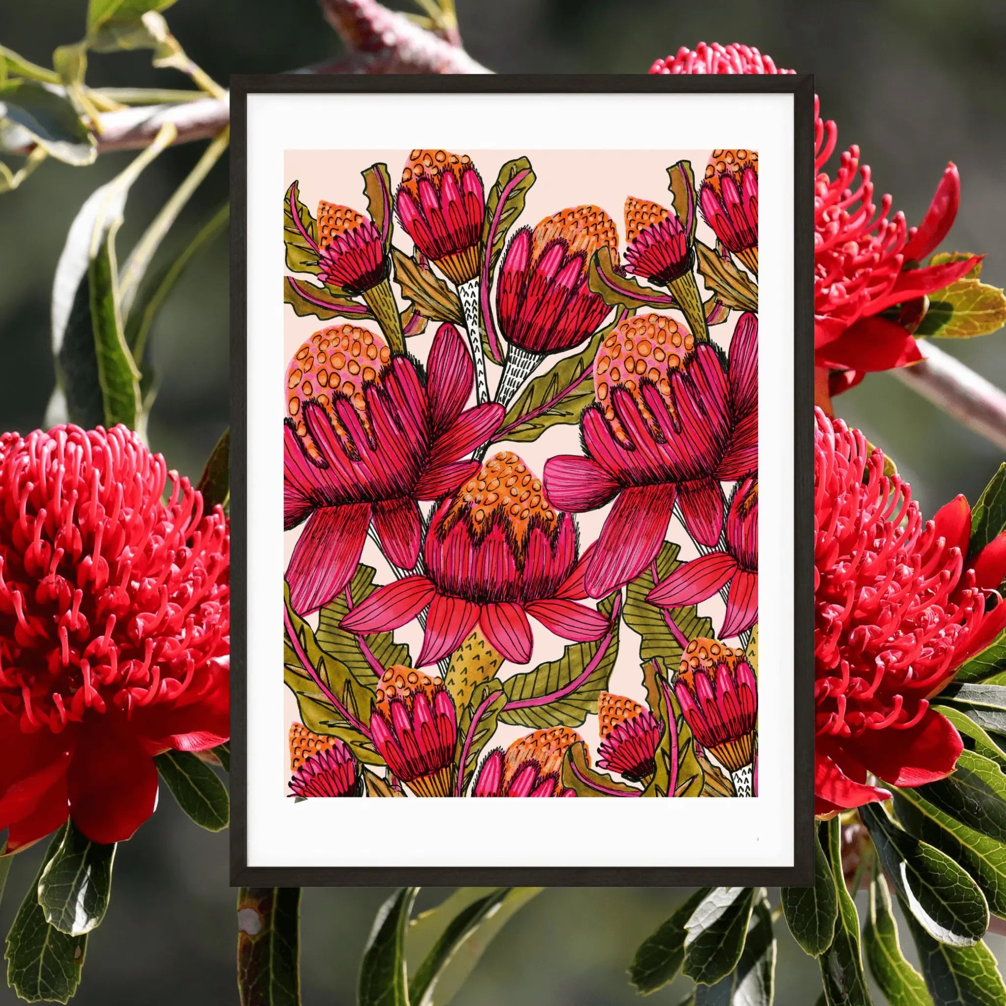 Waratah Flowers Wall Art Print of a watercolour painting by artist Kirsten Katz