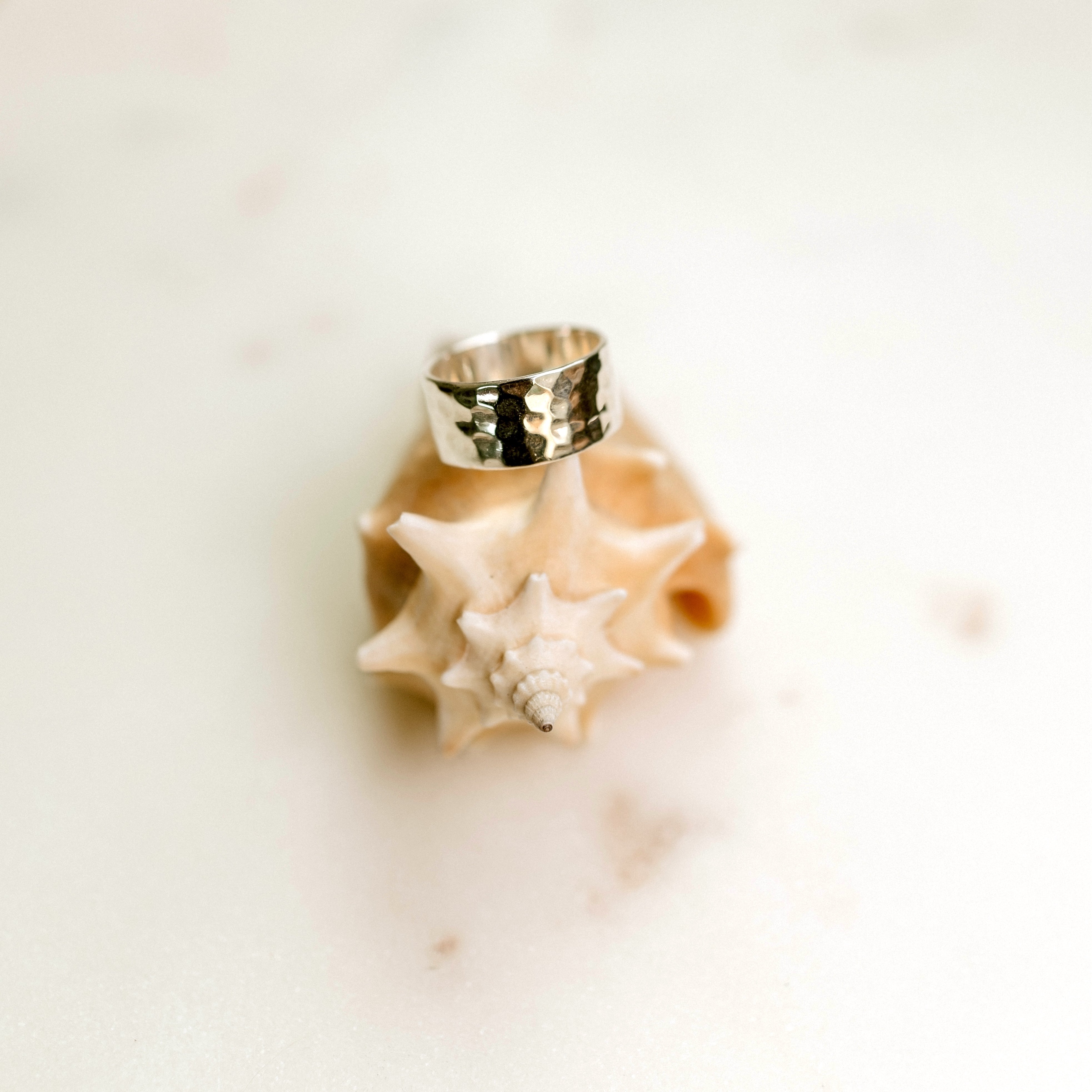 Hammered plate ring