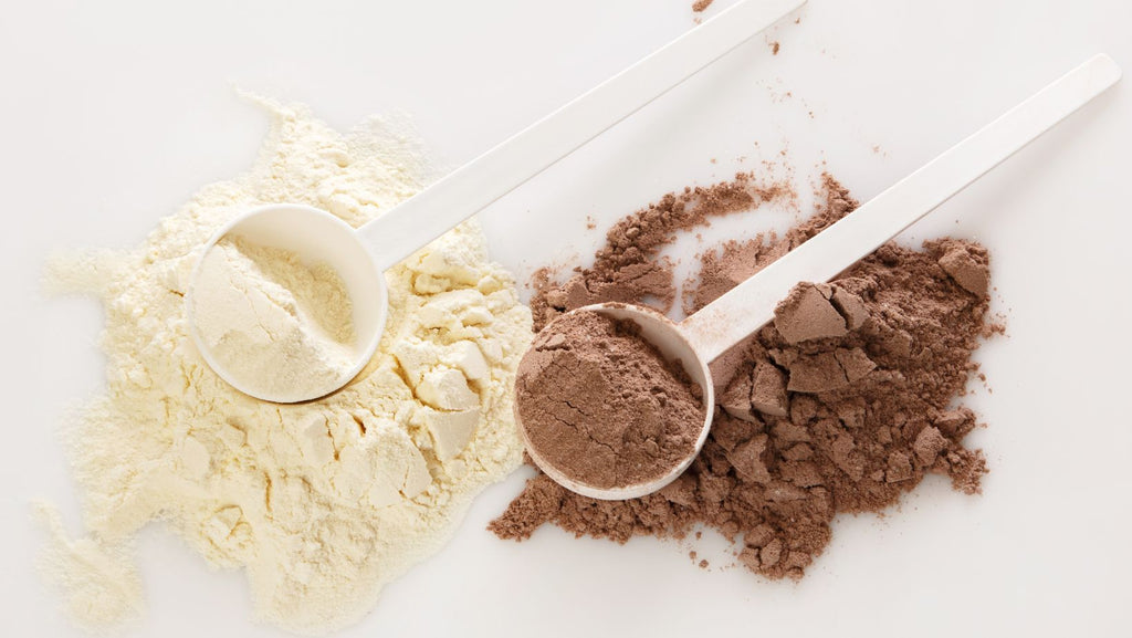 Protein Powder for Weight Gain