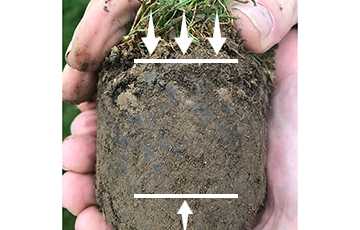 Compaction of soil within a lawn