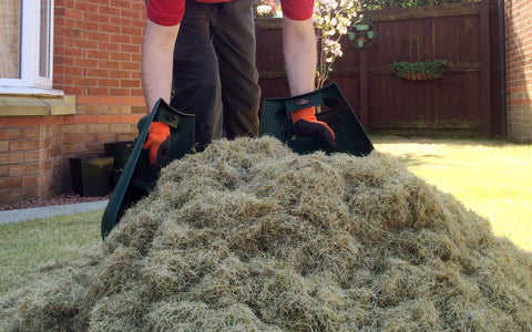 Collection of thatch from lawn scarification