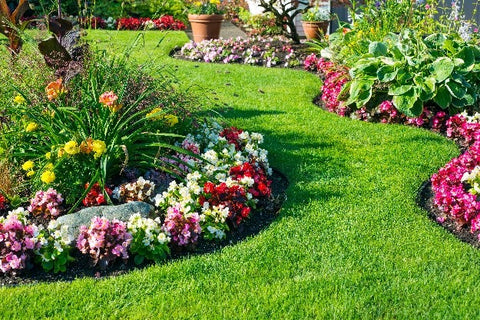 flowers and lawn