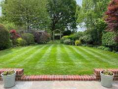 lush green lawn with stripes