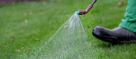 Grass spraying as part of SlowMow treatment
