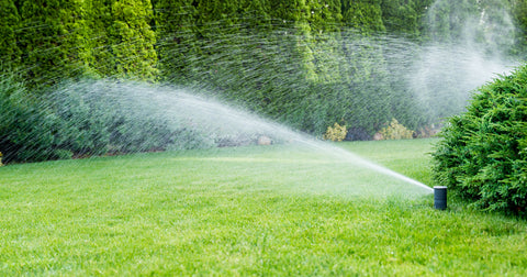 Sprinkler system on a GreenThumb Lawn