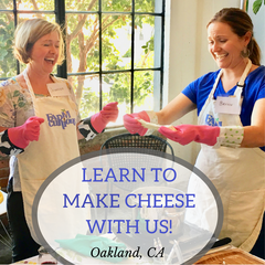 Learn to make cheese at home with FARMcurious