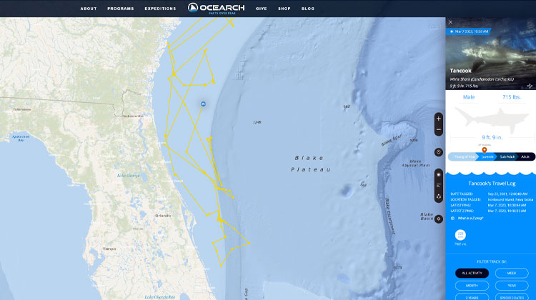 Ocearch Shark Tracker