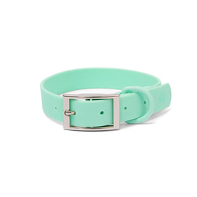 Lucy & Co. The Mint Everyday PVC Collar, Small, Green