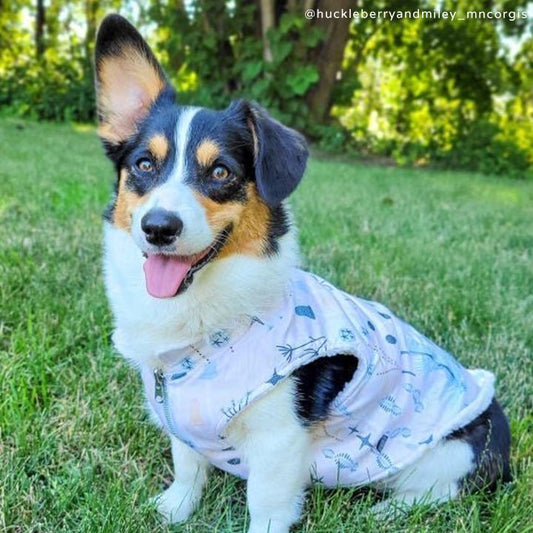 Cute Reversible Dog Jackets & Vests | Stylish Winter Dog Apparel | Lucy ...