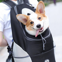 https://cdn.shopify.com/s/files/1/0704/1731/8177/products/sac-transport-chiens_medium.png?v=1682740539