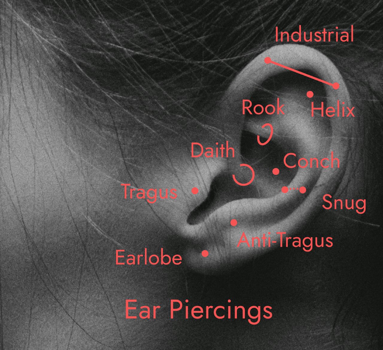 17 types de perçages d'oreilles : noms de perçage d'oreille, guérison, coût, bijoux, nettoyage, suivi