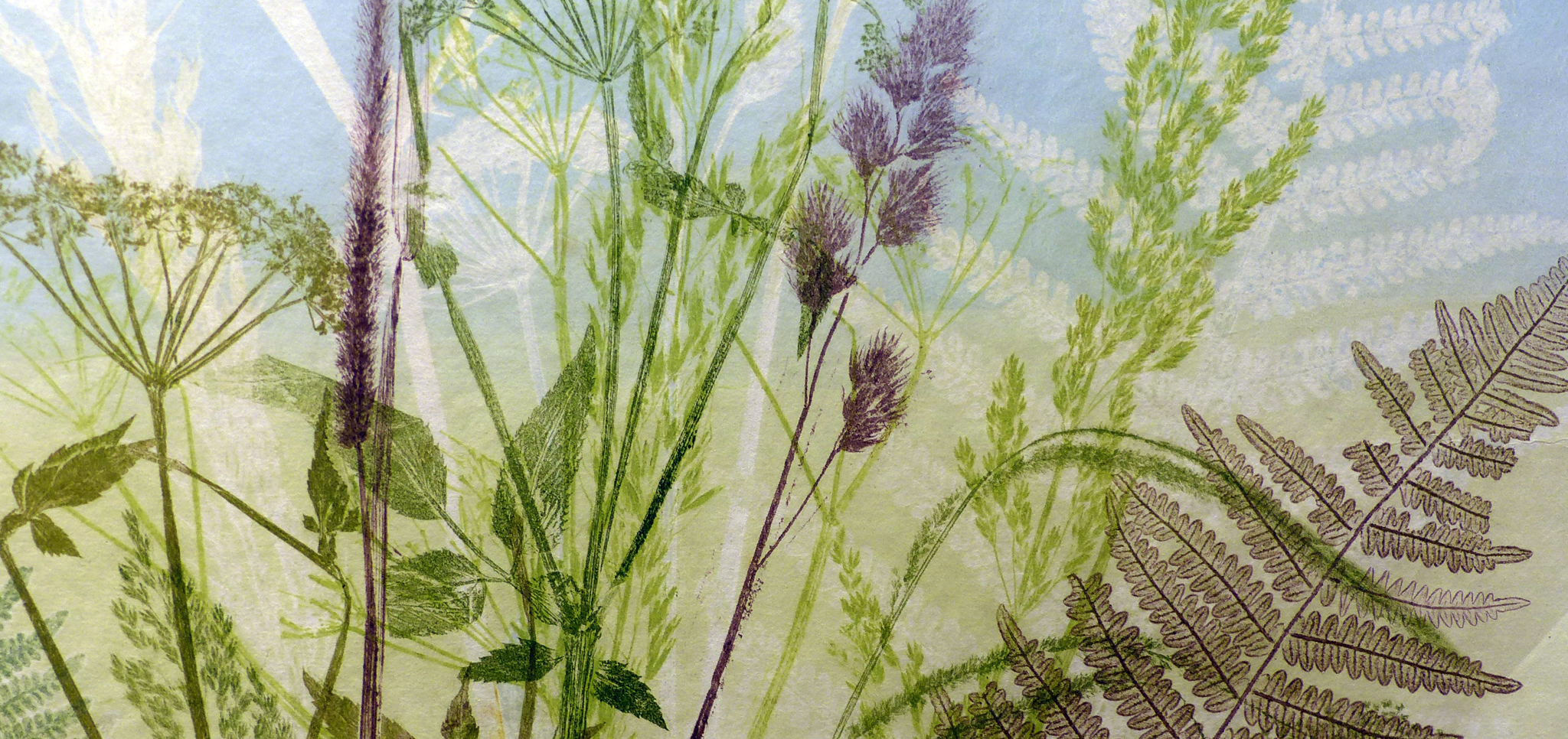 Multicoloured monoprint banner of British wild plants including fern and grasses.