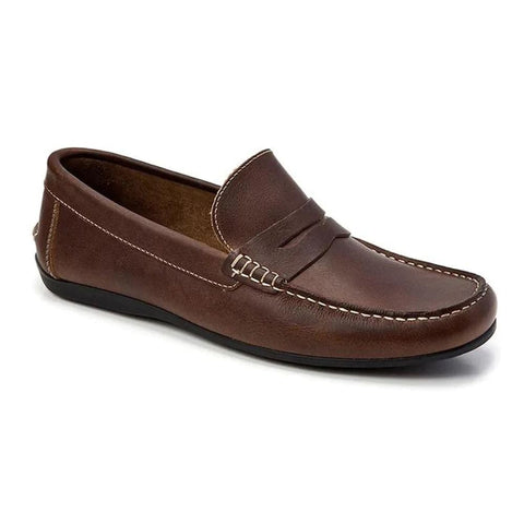 Men Driver Shoe Sandro Moscoloni Niece Brown