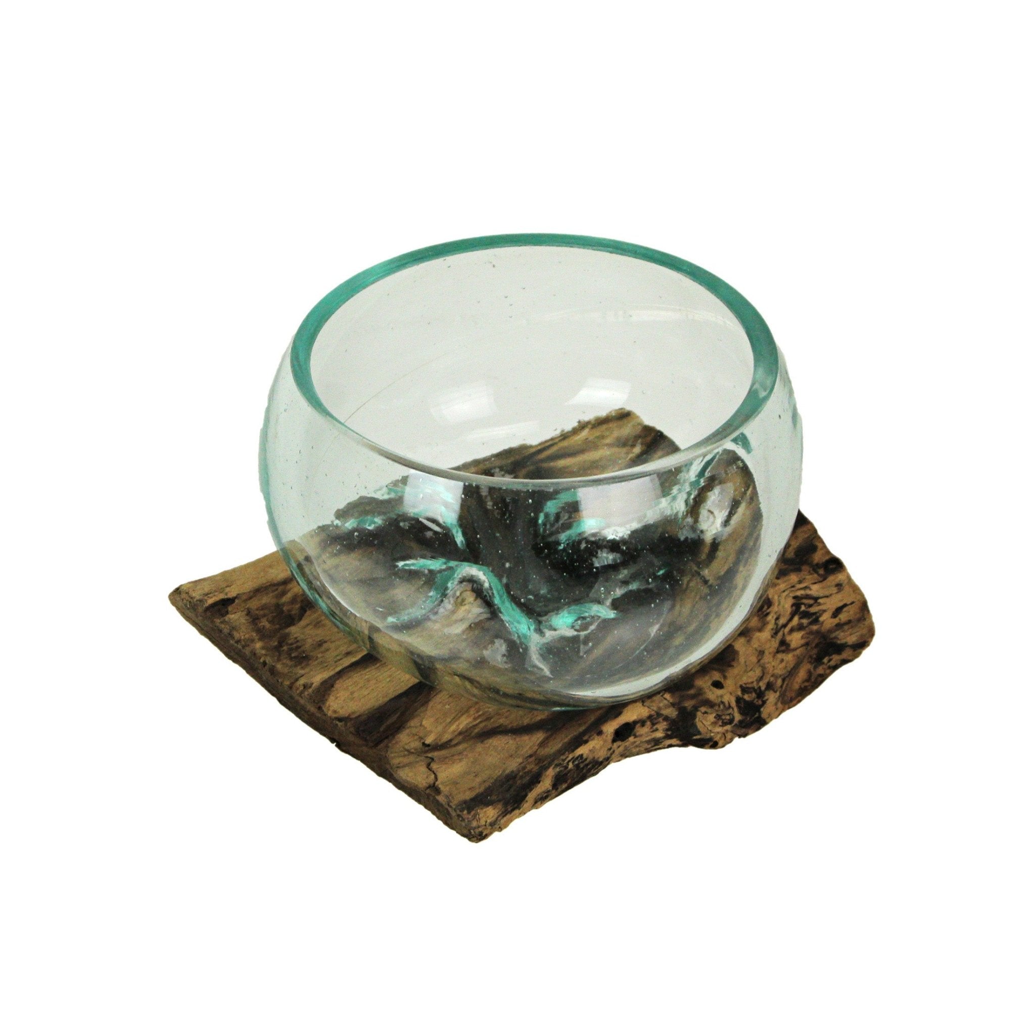 Medium Wide Mouth Molten Glass on Teak Driftwood Decorative Sculptural Bowl, Vase, and Terrarium Planter - Approximately 5 Inches High