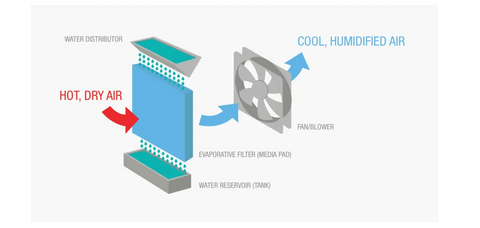 What is an Air Cooler and how does it Work?