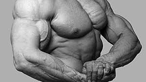 muscle hypertrophy