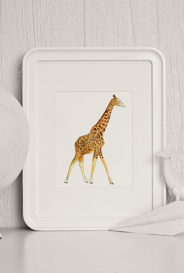 The Zoo: Watercolor Animals | Caravan Shoppe