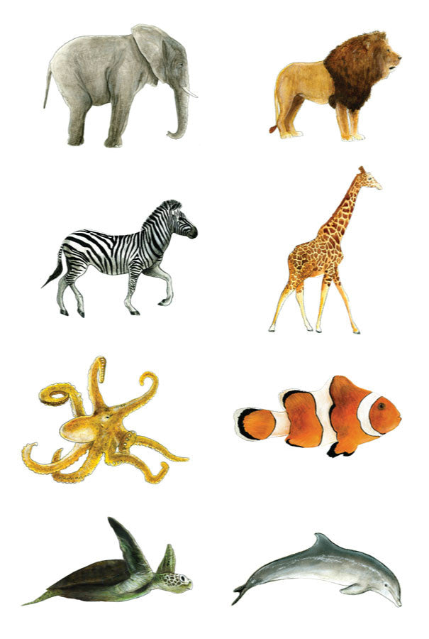 The Zoo: Watercolor Animals | Caravan Shoppe