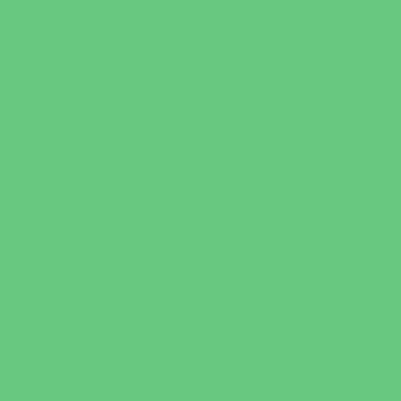 Cricket dropshipping Products