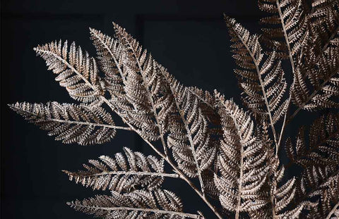 SILVER FERN SPRAY