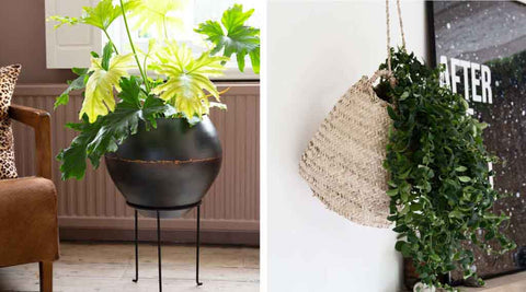 Image of faux plants and planters.