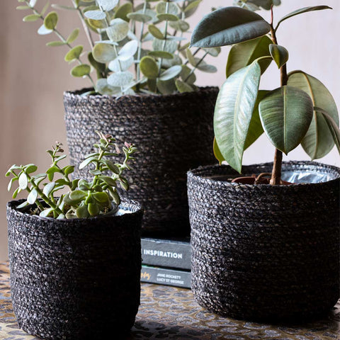 Lifestyle image of the Set Of 3 Seagrass Plant Baskets styled on a leopard print coffee table alongside some books, displayed with plants inside.