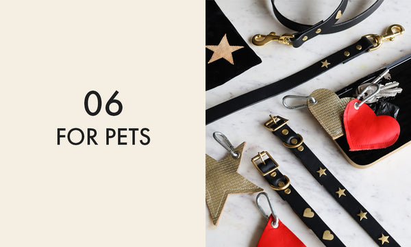 A flat lay image of dog collars and quirky pet accessories.