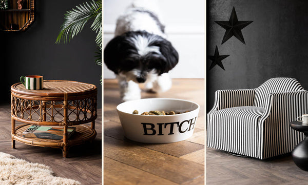 images of three Rockett St George products including a rattan coffee table, quirky slogan 'Bitch' dog bowl and striped monochrome armchair