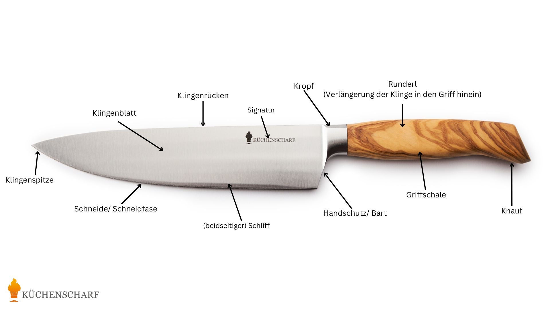 Kochmesser Anatomie