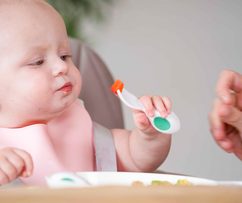 When to introduce solid foods to your baby - doddl