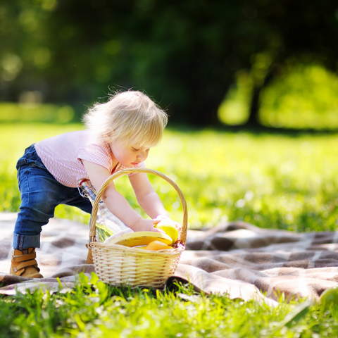 kid picnic ideas