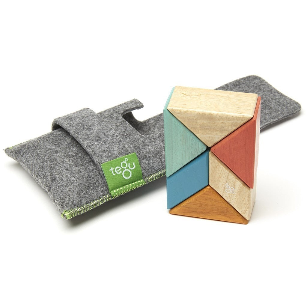 magnetic wooden block set