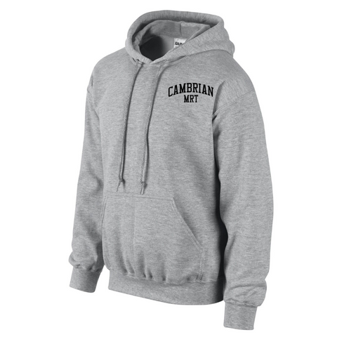 Cambrian College Nursing Hoodie – Skater's Edge Source for Sports Canada