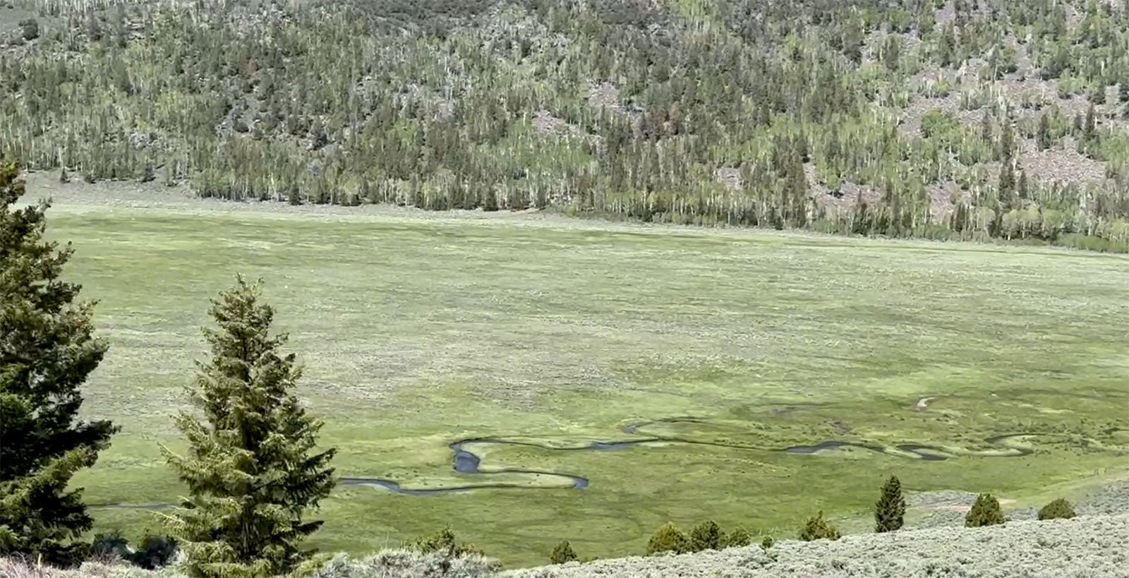 high mountain stream and valley