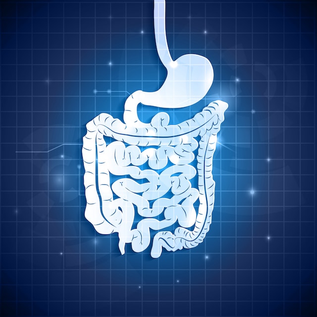 Human gastrointestinal tract abstract background